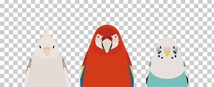 Parrot Penguin PNG, Clipart, 3d Three Dimensional Flower, Animals, Beak, Bird, Cartoon Free PNG Download