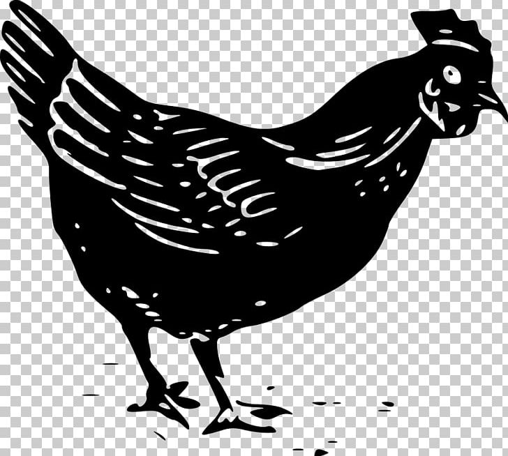Chicken Meat Buffalo Wing PNG, Clipart, Animals, Beak, Bird, Black And White, Buffalo Wing Free PNG Download