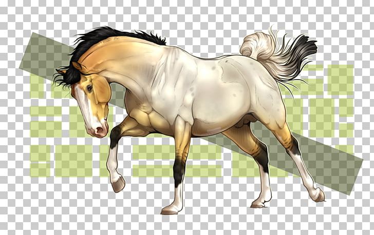 Foal Mane Stallion Mare Mustang PNG, Clipart, Bridle, Colt, Dog Harness, Foal, Halter Free PNG Download