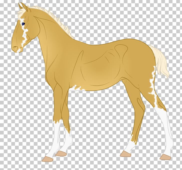 Foal Mustang Mare Stallion Rein PNG, Clipart,  Free PNG Download