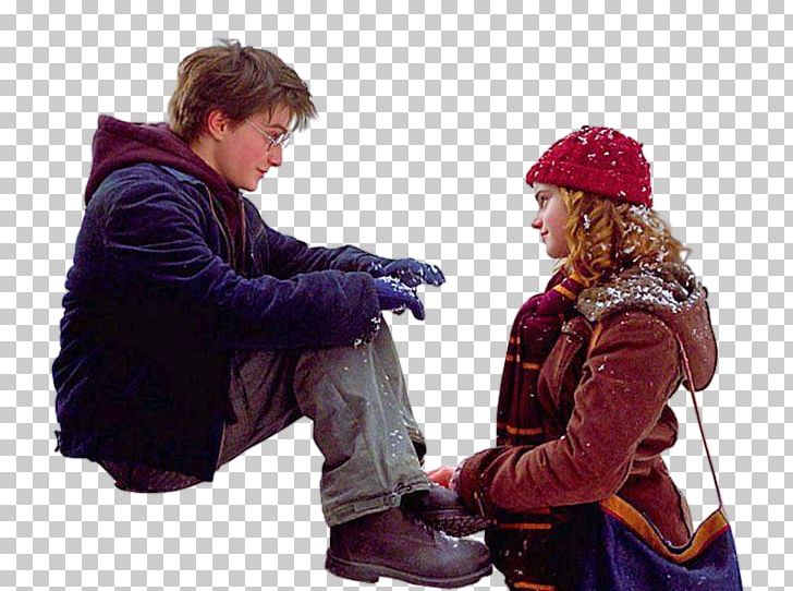 Hermione Granger Ron Weasley Harry Potter Dudley Dursley Film PNG, Clipart,  Free PNG Download