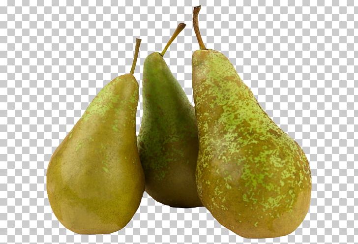 Muesli Conference Pear Asian Pear Vegetable Fruit PNG, Clipart, Apple, Asian Pear, Auglis, Conference Pear, Cultivar Free PNG Download
