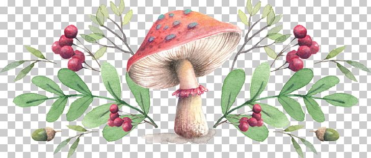 Mushroom Farmers' Market Throw Pillow Cushion PNG, Clipart, Botany, Branch, Cartoon, Color, Flower Free PNG Download