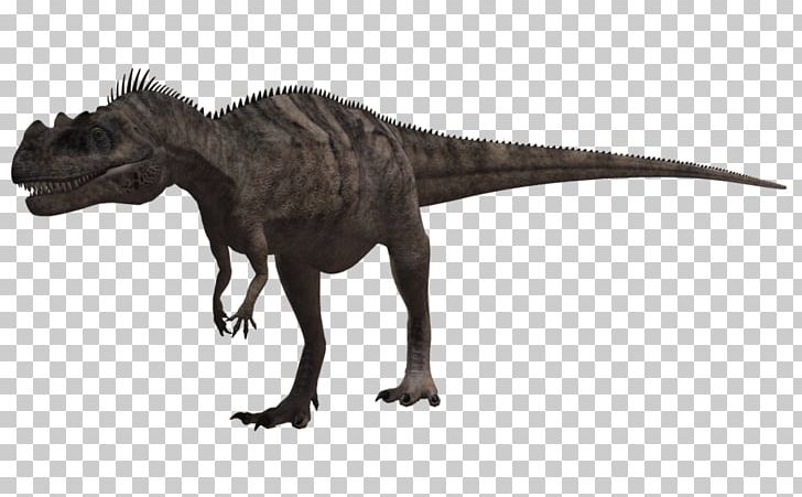 Tyrannosaurus Ceratosaurus Aucasaurus Dinosaur King PNG, Clipart, Animal, Animal Figure, Aucasaurus, Ceratosauria, Ceratosaurus Free PNG Download