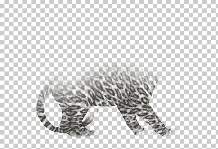 Whiskers Leopard Tiger Leopon Jaguar PNG, Clipart, Animals, Big Cats, Black, Carnivoran, Cat Free PNG Download
