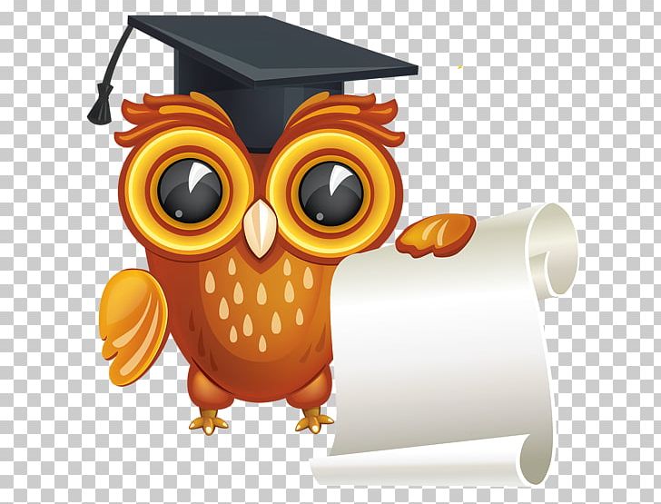 Diploma Bachelors Degree Graduation Ceremony PNG, Clipart, Academic Certificate, Academic Degree, Animals, Beak, Bird Free PNG Download
