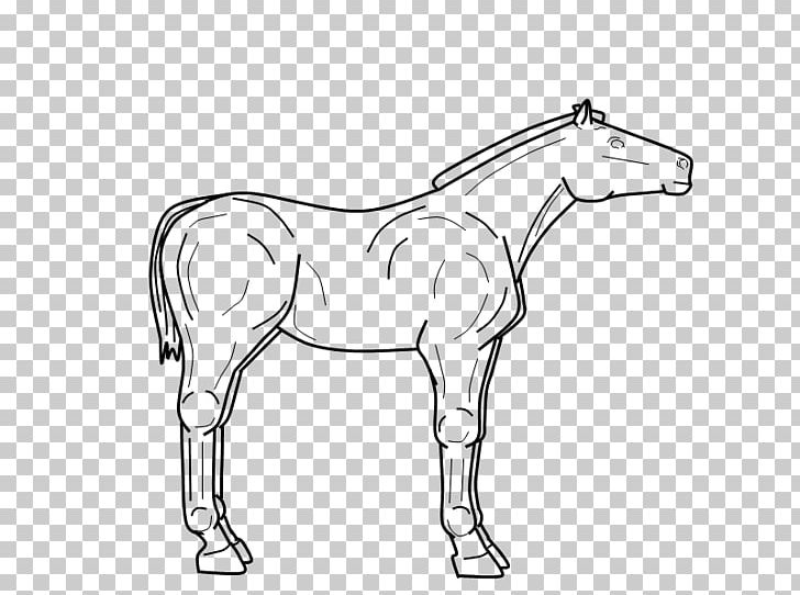 Mule Foal Stallion Bridle Colt PNG, Clipart, Angle, Animal Figure, Arm, Artwork, Bridle Free PNG Download