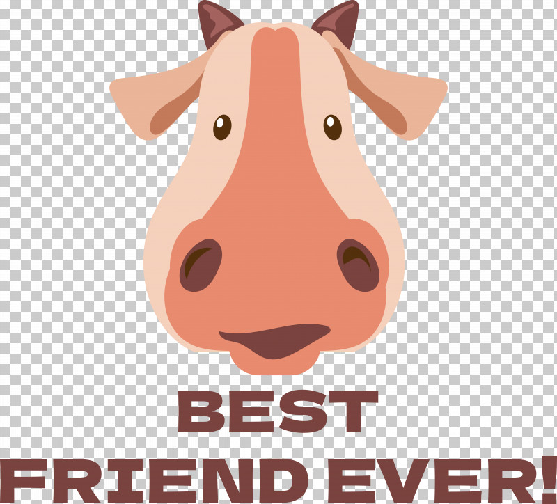 Dog Pig Snout Head Cartoon PNG, Clipart, Biology, Cartoon, Dog, Head, Pig Free PNG Download