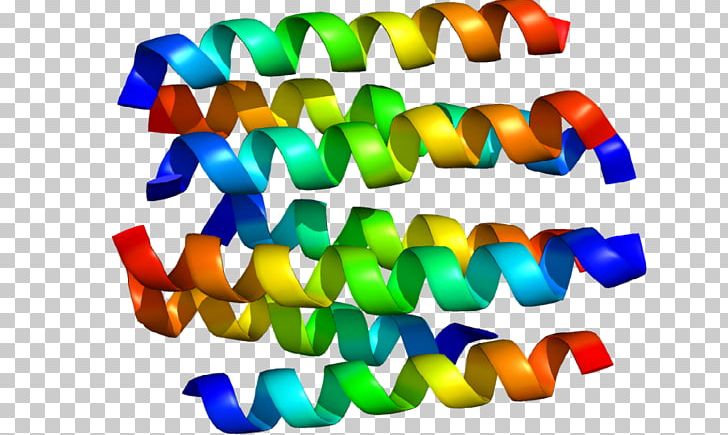 Dopamine Receptor D2 Protein PNG, Clipart, Candy, Confectionery, Dopamine, Dopamine Receptor, Dopamine Receptor D1 Free PNG Download