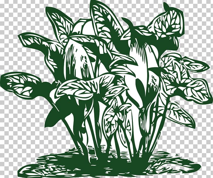 Tropics Plant PNG, Clipart, Beach Vegetation, Black And White, Computer Icons, Download, Flora Free PNG Download