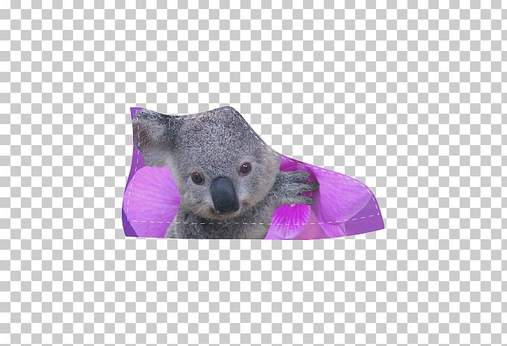 Koala Cougar Bear Cat Billabong Zoo PNG, Clipart, Animal, Animals, Baby Koala, Bear, Billabong Zoo Free PNG Download
