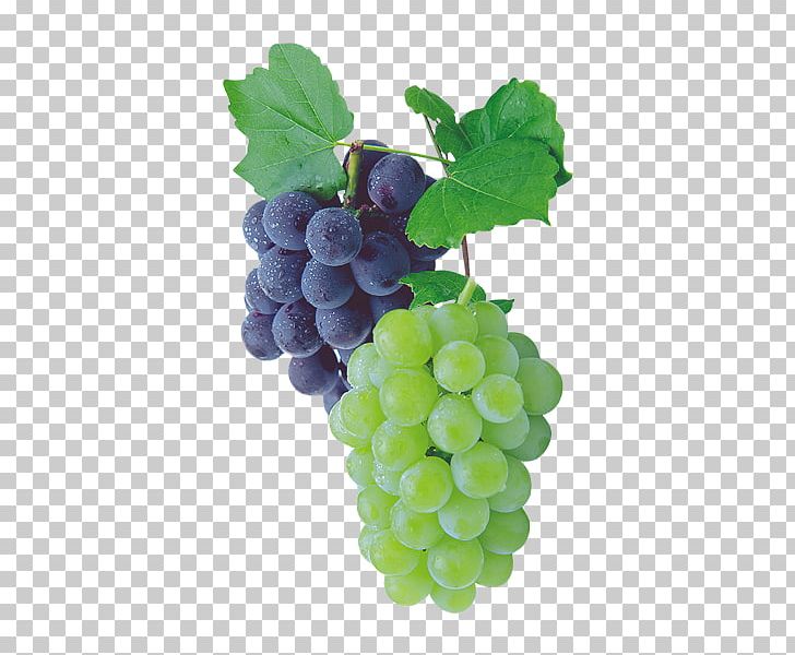 Sultana Kyoho Grape Raceme PNG, Clipart, Bunch, Flower Bunch, Flowering Plant, Food, Fruit Free PNG Download