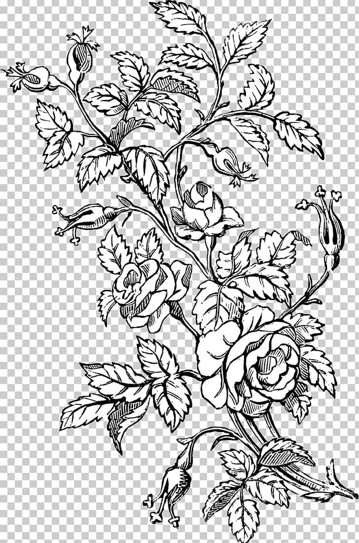 Abziehtattoo Flower Tattoo Ink Rose PNG, Clipart, Antique, Art, Black And White, Branch, Coloring Book Free PNG Download