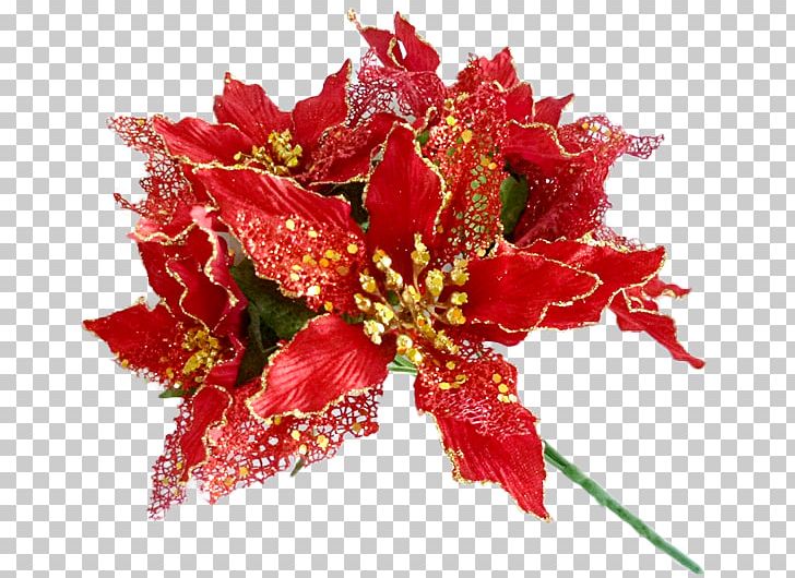 Cut Flowers Flowering Plant Petal PNG, Clipart, Cut Flowers, Flower, Flowering Plant, Others, Petal Free PNG Download