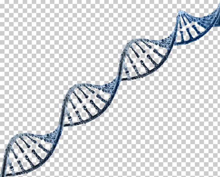 DNA Nucleic Acid Double Helix Genetics RNA Genome PNG, Clipart, Dna, Dna Replication, Dna Sequencing, E Cigarettes, Ecigarettes Free PNG Download