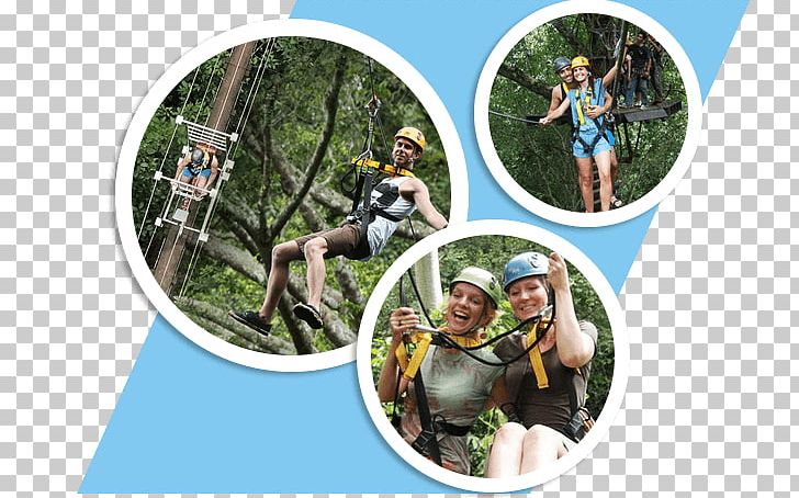 Jungle M Chiang Mai Rainforest Adventure PNG, Clipart, Adventure, Adventure Film, Biologist, Biology, Chiang Mai Free PNG Download
