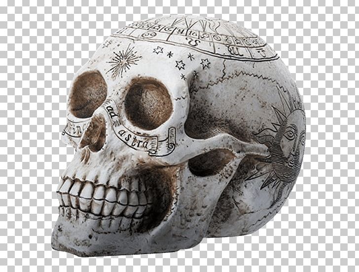 Skull Resin Casting Skeleton Alchemy PNG, Clipart, Alchemy, Astrological Symbols, Bone, Color, Crystal Skull Free PNG Download