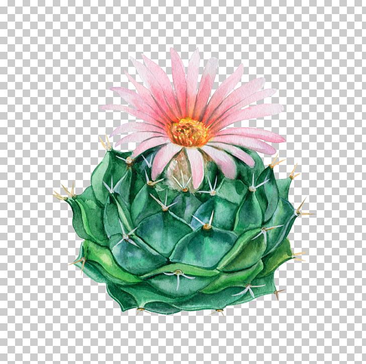 Watercolor Painting Flowerpot PNG, Clipart, Artificial Flower, Blooming, Cactaceae, Cactus, Cut Flowers Free PNG Download