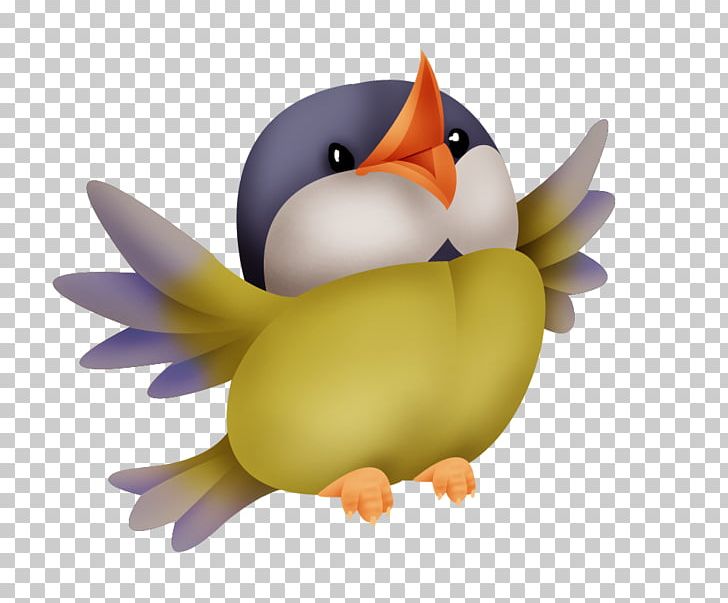 Beak PNG, Clipart, Beak, Bird, Organism, Others, Vertebrate Free PNG Download