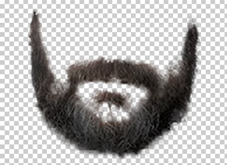 Beard PNG, Clipart, Beard, Beard And Moustache, Carnivoran, Cat, Cat Like Mammal Free PNG Download