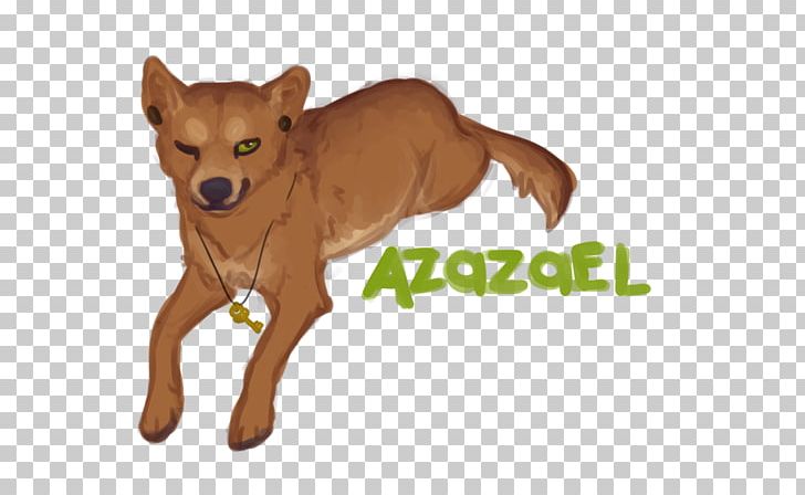 Dog Breed Chihuahua Puppy Snout PNG, Clipart, Breed, Carnivoran, Chihuahua, Dog, Dog Breed Free PNG Download