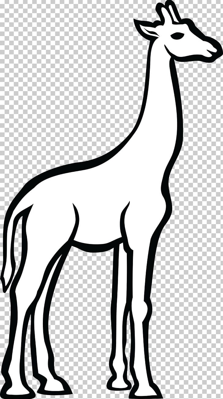 Line Art Drawing PNG, Clipart, Antelope, Art, Black And White, Color, Coloring Book Free PNG Download