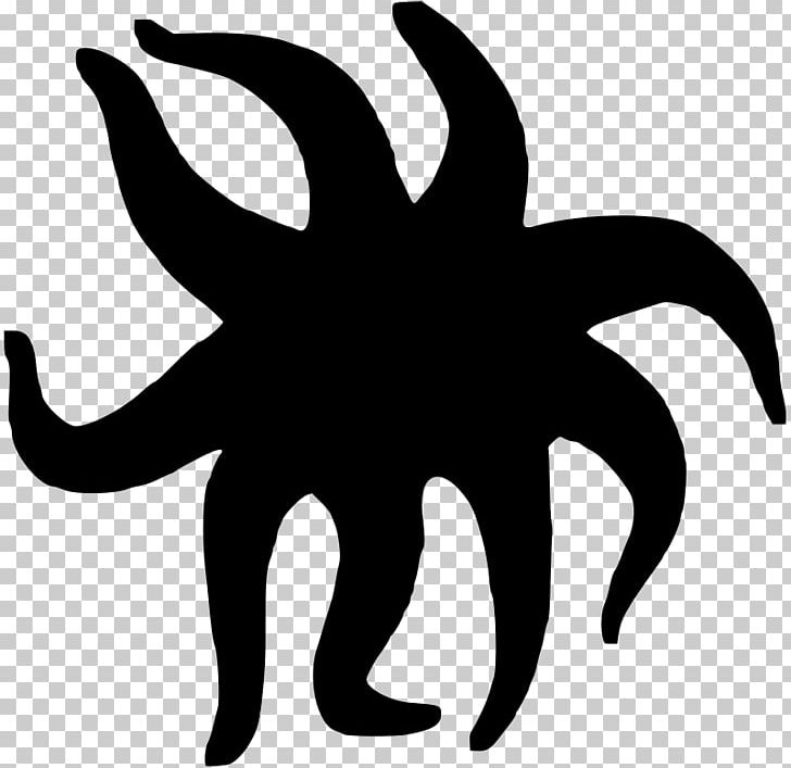 Starfish PNG, Clipart, Animals, Artwork, Black And White, Desktop Wallpaper, Drawing Free PNG Download