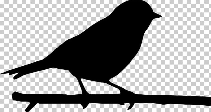 Bird Silhouette PNG, Clipart, Beak, Bird, Black And White, Branch, Crow Free PNG Download