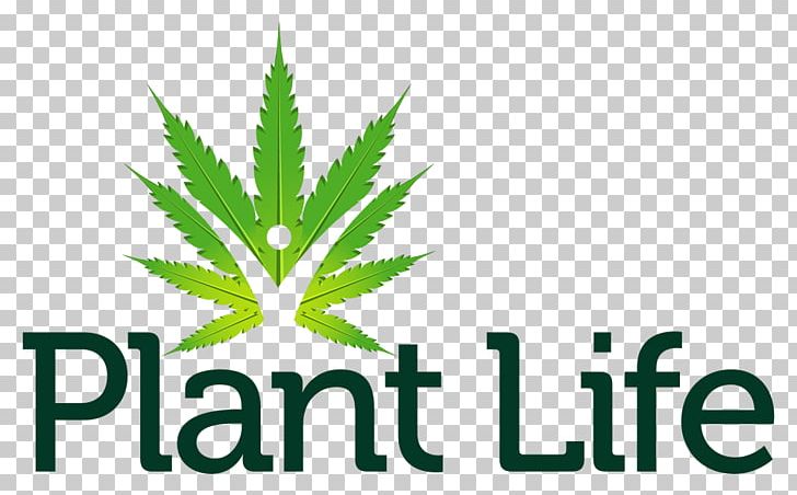 Cannabis Life Reimagined: Discovering Your New Life Possibilities Logo Hemp Font PNG, Clipart,  Free PNG Download