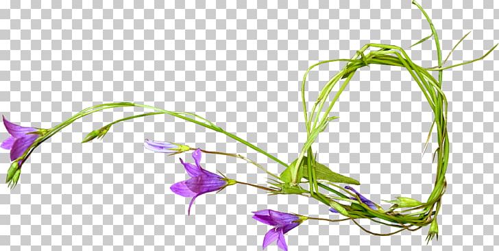 Cut Flowers Floral Design PNG, Clipart, Artificial Flower, Branch, Chiang Rai Asian Flower Festival, Color, Cut Flowers Free PNG Download