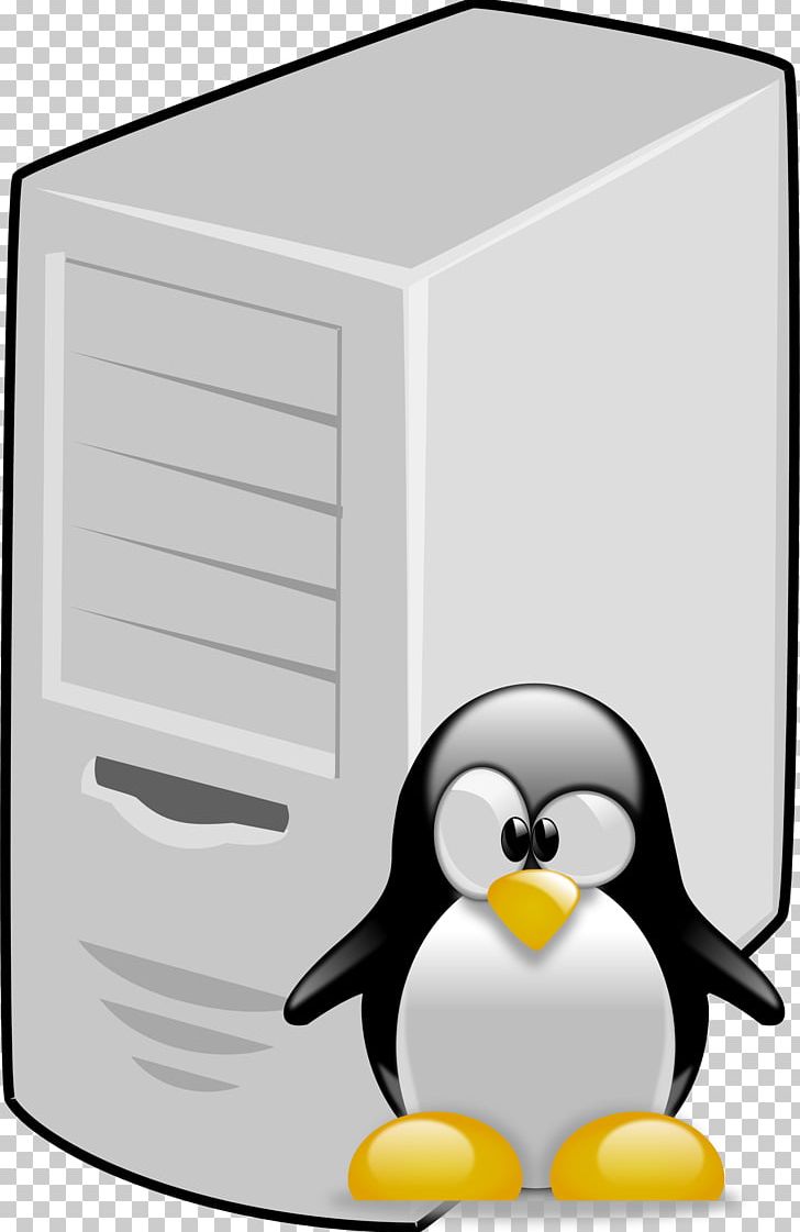 Google Penguin T-shirt Bird Link Building PNG, Clipart, Algorithm, Animals, Beak, Bird, Chinstrap Penguin Free PNG Download