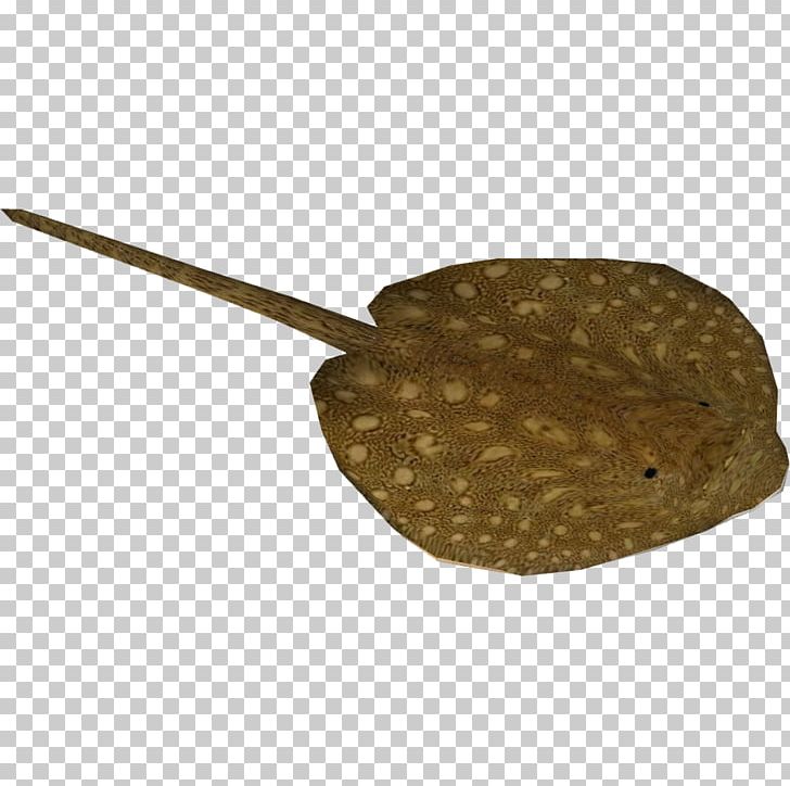 Myliobatoidei Mekong Ocellate River Stingray PNG, Clipart, Batoidea, Computer Icons, Information, Internet, Leopard Whipray Free PNG Download