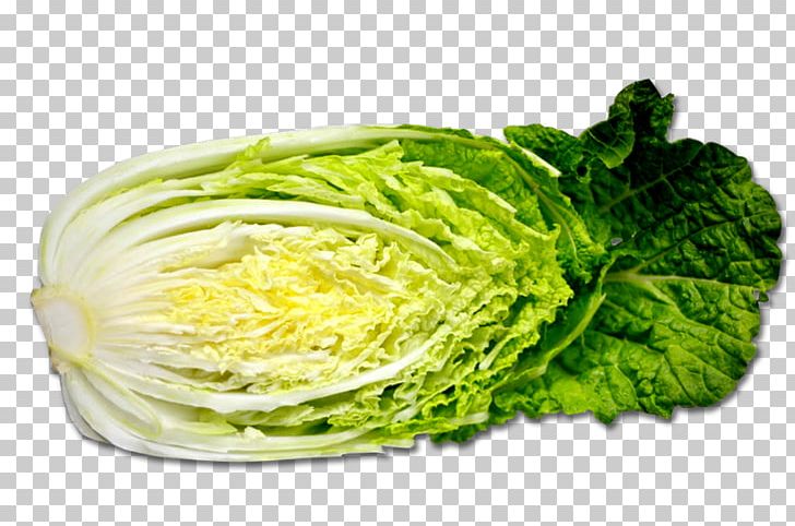 Chinese Cuisine Savoy Cabbage Red Cabbage Napa Cabbage PNG, Clipart, Brassica Oleracea, Broccoli, Brussels Sprout, Cabbage, Cauliflower Free PNG Download