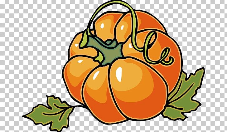 Cucurbita Pepo Pumpkin Pie Autumn PNG, Clipart, Artwork, Autumn, Autumn Cliparts, Blog, Calabaza Free PNG Download
