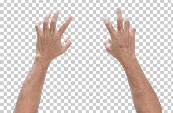 Finger Hand Digit Ratio Foot Male PNG, Clipart, Answer, Arm, Bend, Digit Ratio, Female Free PNG Download