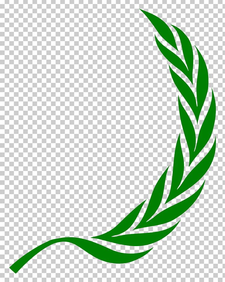 Laurel Wreath Bay Laurel PNG, Clipart, Artwork, Bay Laurel, Cherry Laurel, Crown, Flora Free PNG Download