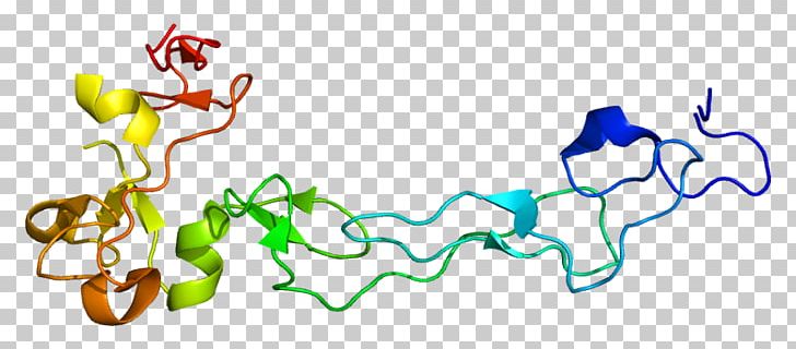 ADAM10 Alpha Secretase Protein Disintegrin PNG, Clipart, Adam, Amyloid Precursor Protein, Area, Art, Betasecretase 1 Free PNG Download