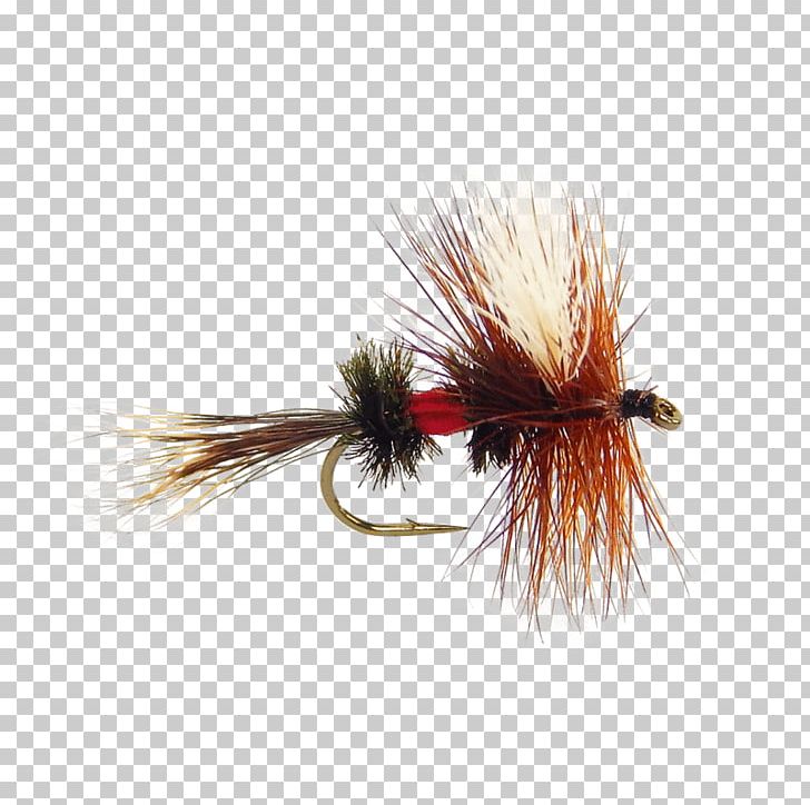 Artificial Fly Royal Wulff Fly Fishing Royal Coachman PNG, Clipart, Angling, Arthropod, Artificial Fly, Blue, Brook Trout Free PNG Download