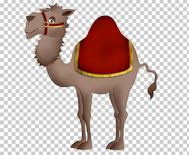 Bactrian Camel Dromedary PNG, Clipart, Arabian Camel, Bactrian Camel, Blog, Camel, Camel Clipart Free PNG Download