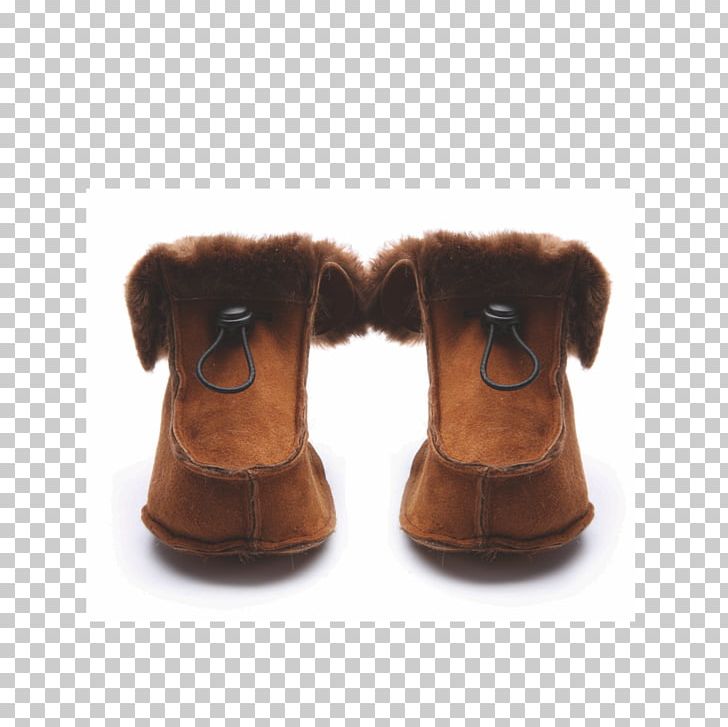 Boot Snout Dog Shoe Mammal PNG, Clipart, Accessories, Boot, Canidae, Dog, Dog Like Mammal Free PNG Download