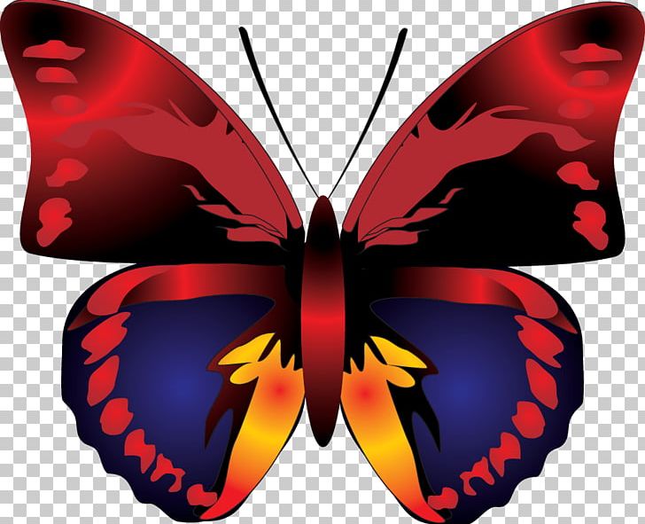 Butterfly Red PNG, Clipart, Animation, Arthropod, Backpacking, Backyard, Believe Free PNG Download