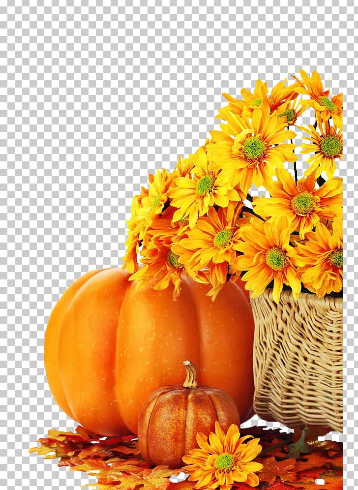 Charlie Brown Pumpkin Facebook Autumn Eggnog PNG, Clipart, Flower, Food, Fragrance Oil, Fruit, Gourd Free PNG Download