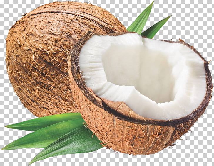 Coconut Oil Stock Photography Flavor Carrier Oil PNG, Clipart, Arecaceae, Carrier Oil, Coconut, Coconut Oil, Coconut Water Free PNG Download