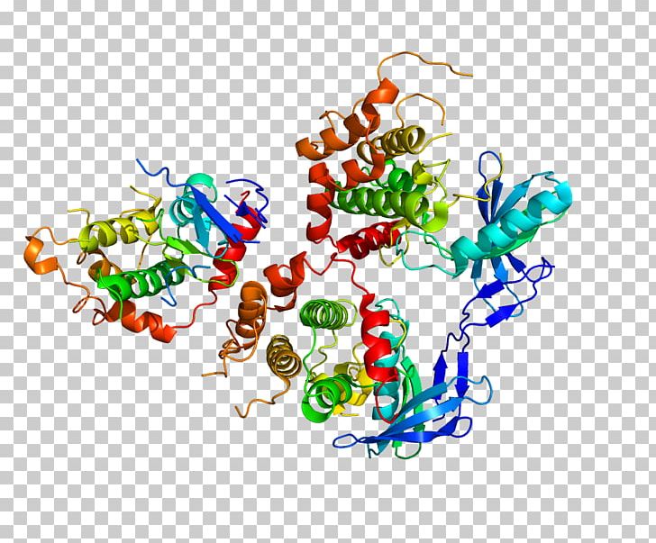 MAP2K4 Mitogen-activated Protein Kinase Dual-specificity Kinase PNG, Clipart, 2 K, Activate, Art, Artwork, Dualspecificity Kinase Free PNG Download