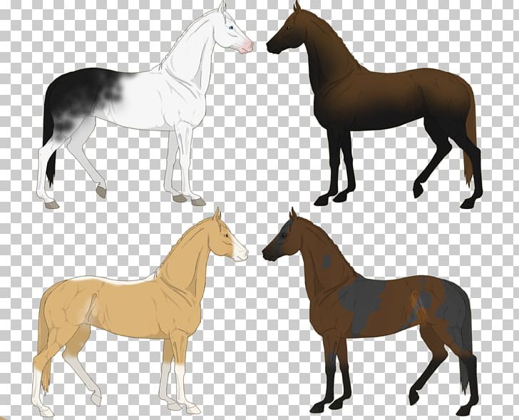 Miniature Dachshund Mustang Foal Mare PNG, Clipart, Black Tan, Breed, Bridle, Colt, Dachshund Free PNG Download
