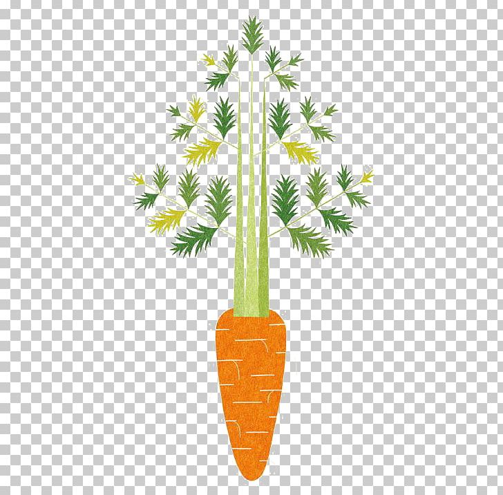 Oisix CRAZY For VEGGY Food Illustrator Vegetable Illustration PNG, Clipart, Art, Bunch Of Carrots, Carrot, Carrot Cartoon, Carrot Juice Free PNG Download