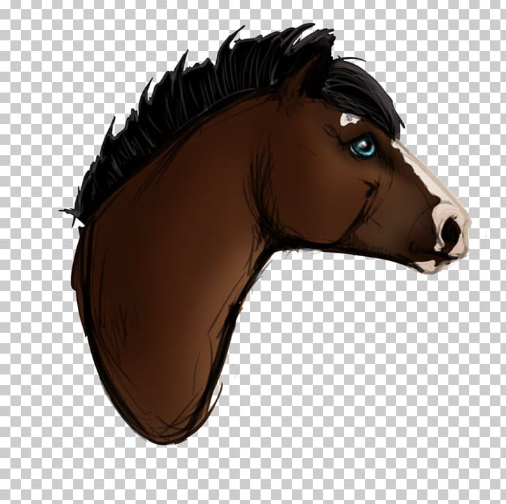 Mane Rein Mustang Pony Halter PNG, Clipart, Badis Badis, Bridle, Halter, Head, Horse Free PNG Download