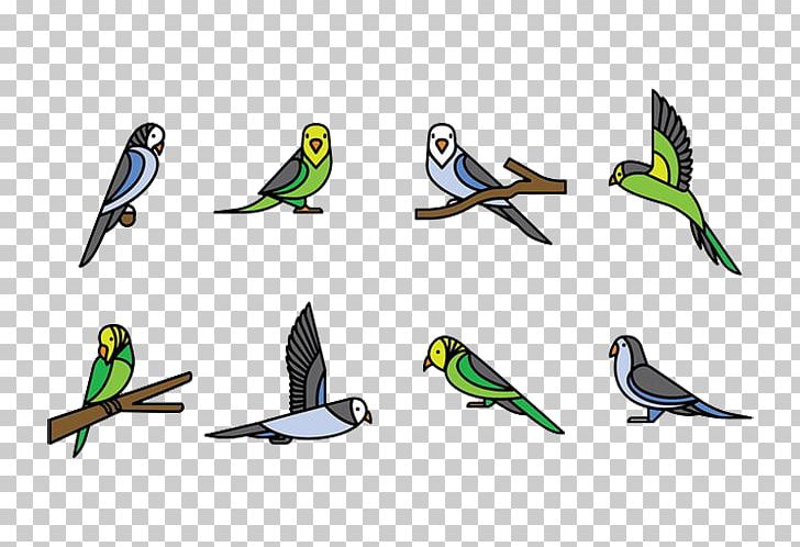 Parrot Bird Budgerigar PNG, Clipart, 3d Animation, Animal, Animals, Animation, Anime Character Free PNG Download