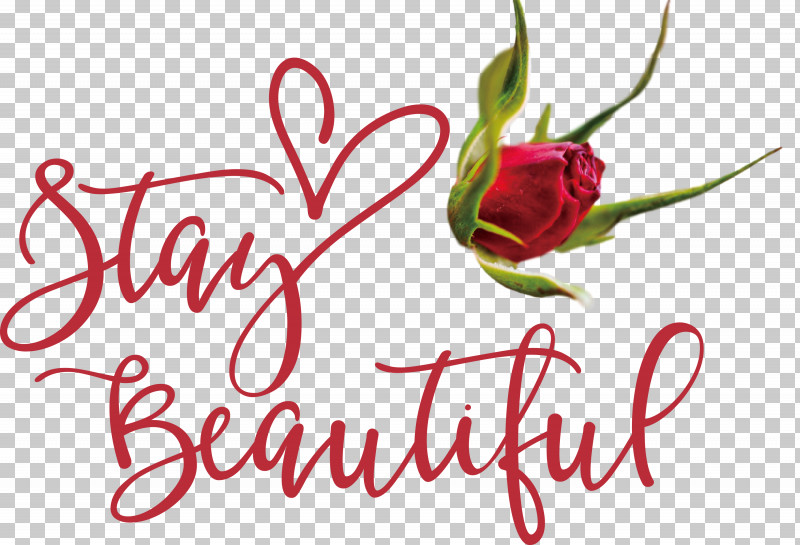 Stay Beautiful Fashion PNG, Clipart, Cut Flowers, Fashion, Floral Design, Flower, Garden Free PNG Download