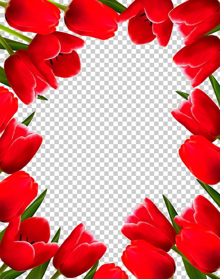 Tulip Flower Frame PNG, Clipart, Border Frame, Certificate Border, Cut Flowers, Encapsulated Postscript, Floral Border Free PNG Download